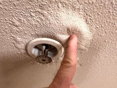 About Leonardtown Mold Specialist - mold inspection experts in Leonardtown, MD